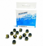 Ventilschaftdichtungen für VW VR6 Motor Ventilschaftdichtungen für VW VR6 Motor