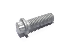 Zwölfkantschraube M10 x 30 mm