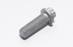 Zwölfkantschraube M10 x 30 mm