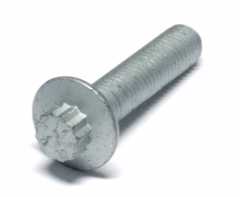 12-Point Bolt Screw M10 x 45 mm