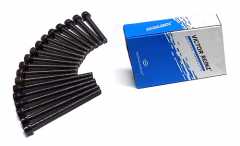 Zylinderkopfschraubensatz / Dehnschrauben VW Bora, Golf IV, New Beetle, Passat / SEAT Toledo II VR5, V5 Motor AQN, AZX
