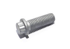 Zwölfkantschraube M10 x 30 mm